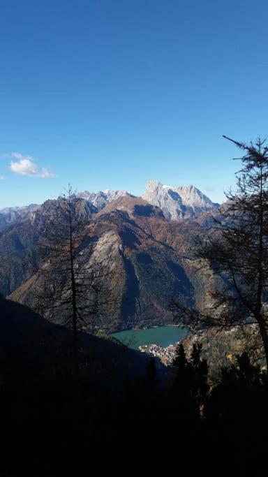 Mountain Διαμέρισμα Alleghe Εξωτερικό φωτογραφία