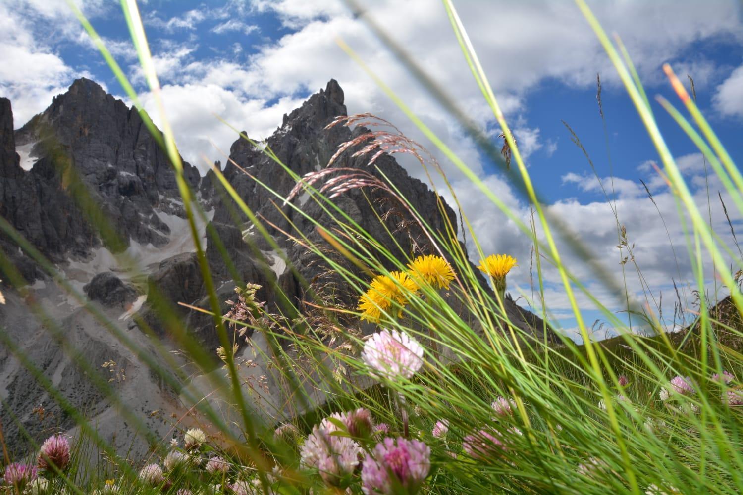 Mountain Διαμέρισμα Alleghe Δωμάτιο φωτογραφία
